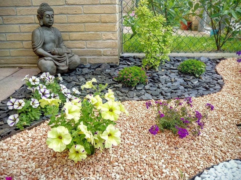 buddha-piante