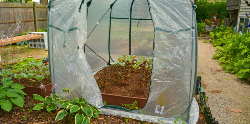 greenhouse-do-it-yourself