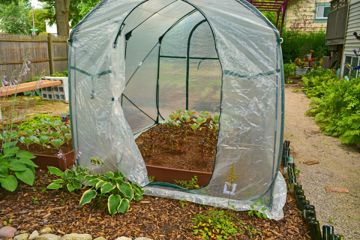 greenhouse-do-it-yourself